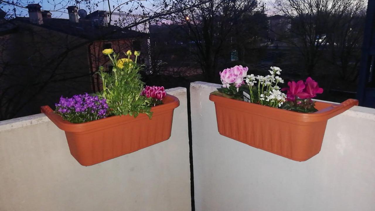 Appartamento Con Due Camere Da Letto E Free Park Verona Exterior foto